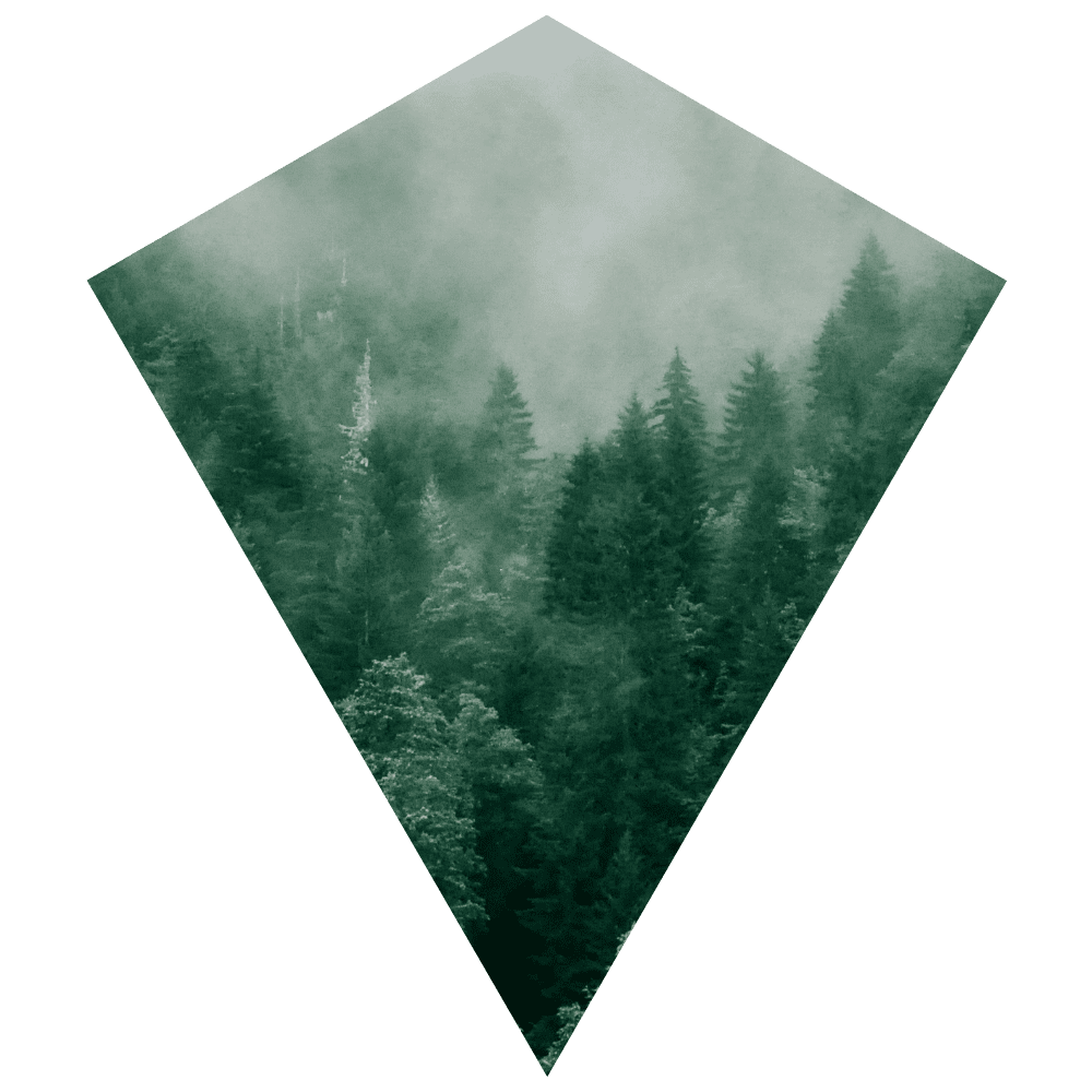 Klimaneutral